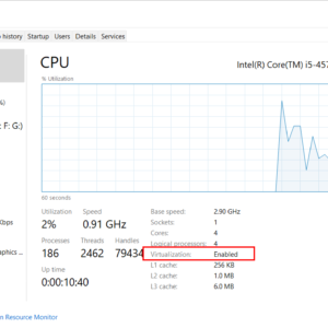 How to Enable Hardware Virtualization